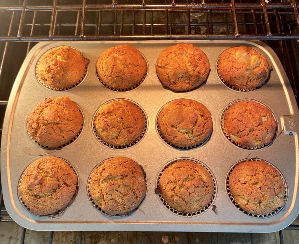 Gluten-free Fig Pecan Muffins